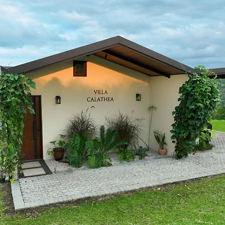 Villas Jawara ! Un Volcan En Su Jardin ! La Fortuna Exterior foto